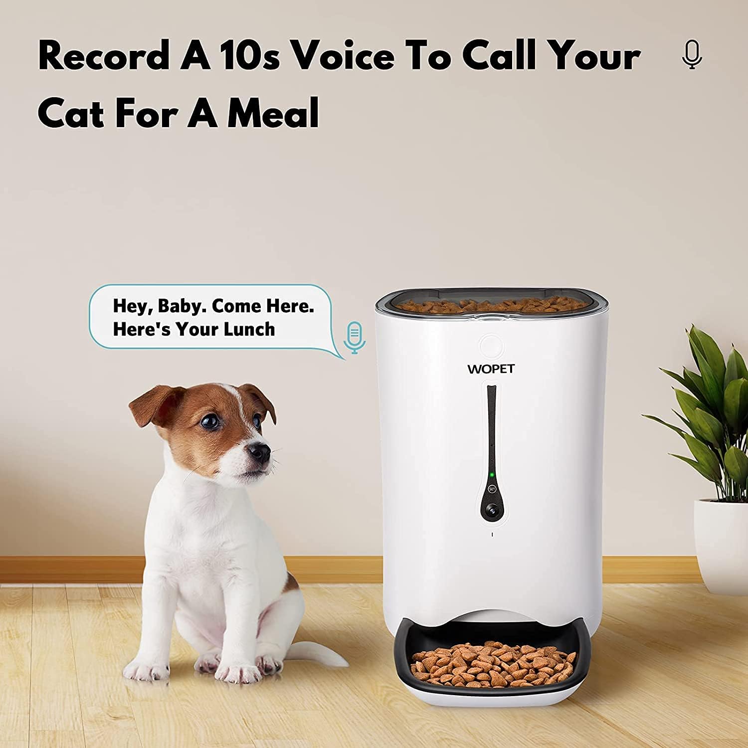 WOPET Automatic Cat Feeder with Camera,7L App Control Smart Feeder Cat Dog Food Dispenser,6-Meal Auto Pet Feeder with Timer Programmable
