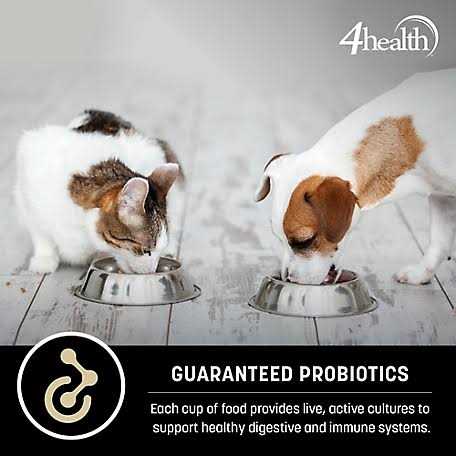 4health Wholesome Grains Adult Lamb and Rice Formula Dry Dog Food - Pet Supplies online store