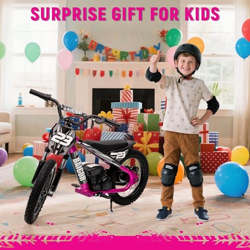 wanan Electric Dirt Bike for Kids 6-12 with Shock-Absorbing Front Fork, 250W Electric Motorcycle Up to 15.5MPH, 24V Detachable Battery, 16''