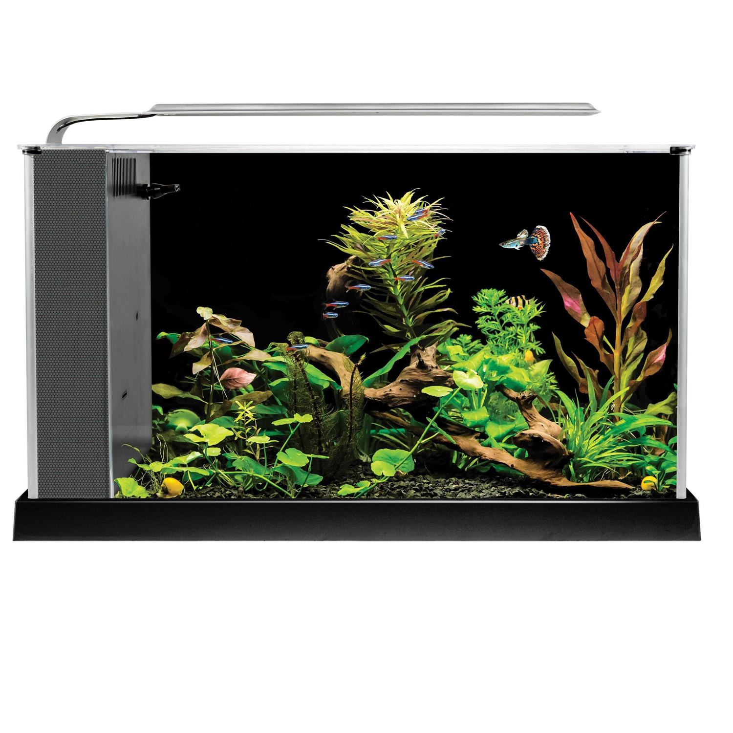 Fluval Spec V - Pet Supplies online store