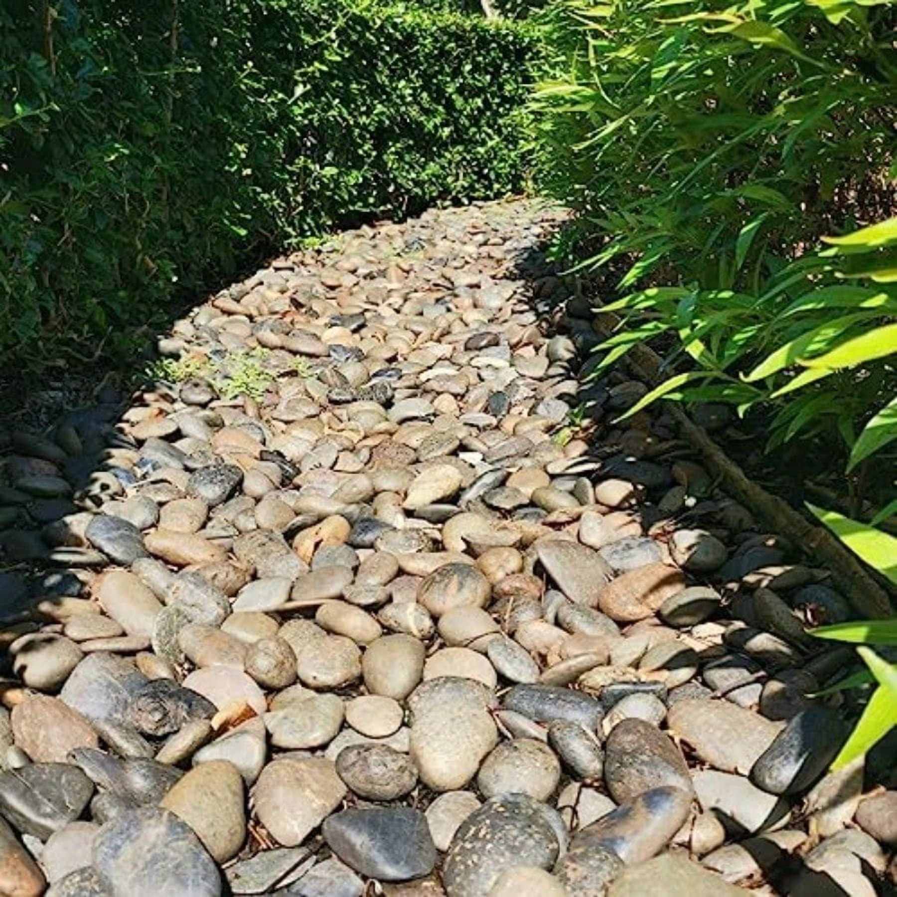 40lbs Natural River Rocks 3-4 Premium Pebbles for Garden and Landscape Design Hand-Picked Smooth Stones for Fish Tank Flower Pots Indoor Water