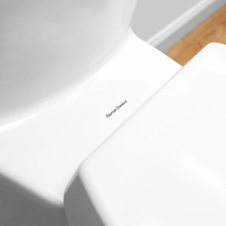 Boulevard Right Height FloWise Elongated 1-Piece Toilet