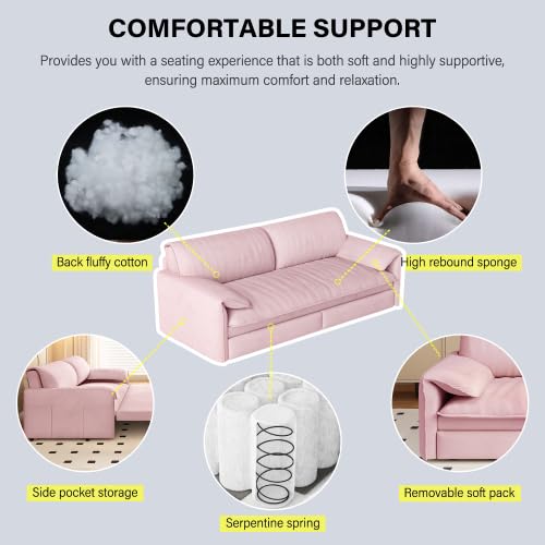 70.1" Futon Sofa Bed Queen Size, Pull Out Bed, 3-in-1 Convertible Sleeper Sofa with 2 Soft Pillows, Modern Velvet Futon Couch for Living Room