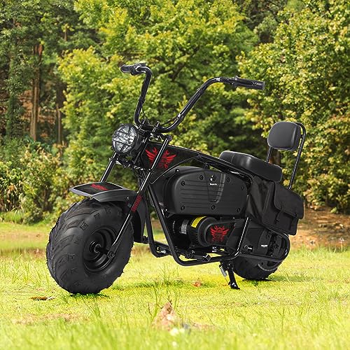 Oryxearth Electric Mini Dirt Bike, 36V Battery 1000W Motor Electrical Powered Motorcycle for Kids, 2 Speeds-15.5MPH/22 MPH, 2 Hanging Bags