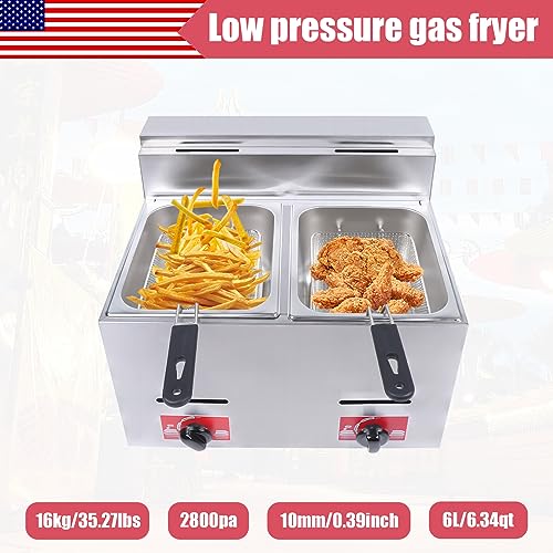 LPG Gas Deep Fryer Commercial Countertop Deep Gas Fryer Natural Gas Food Warmer Stainless Steel for French Fries Restaurant Home Kitchen