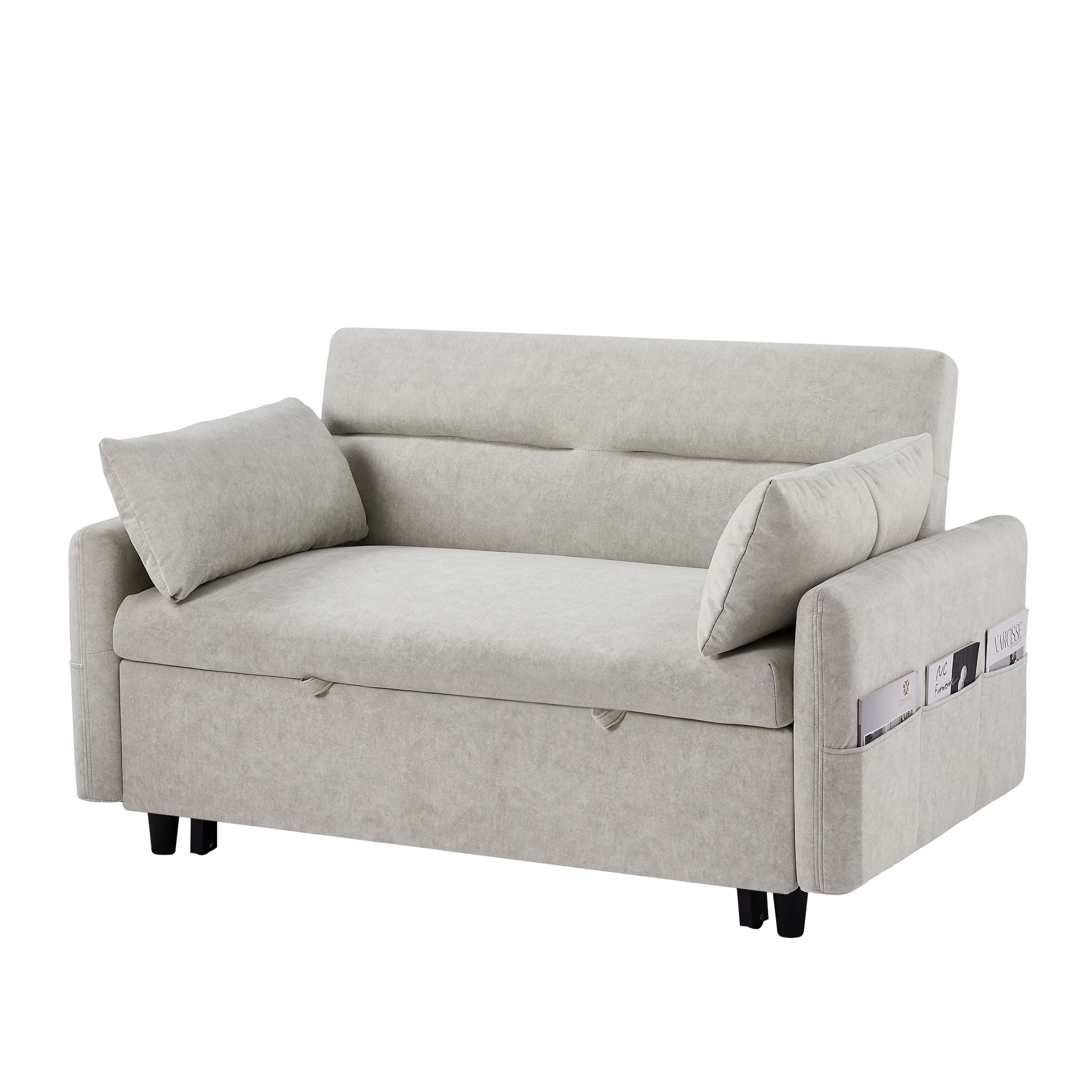 Euroco 55" Loveseat with Pull Out Bed, Sleeper Sofa with Adjustable Backrest, 2 Seater Couch with Pillows, Storage Pockets for Living Room, Beige