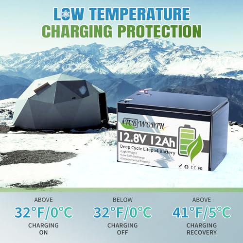 12V 100Ah LiFePO4 Battery, Rechargeabel Deep Cycle Lithium Batteries, 100A BMS with Low-Temp Protection, Perfect for RV, Solar, Boat, Marine