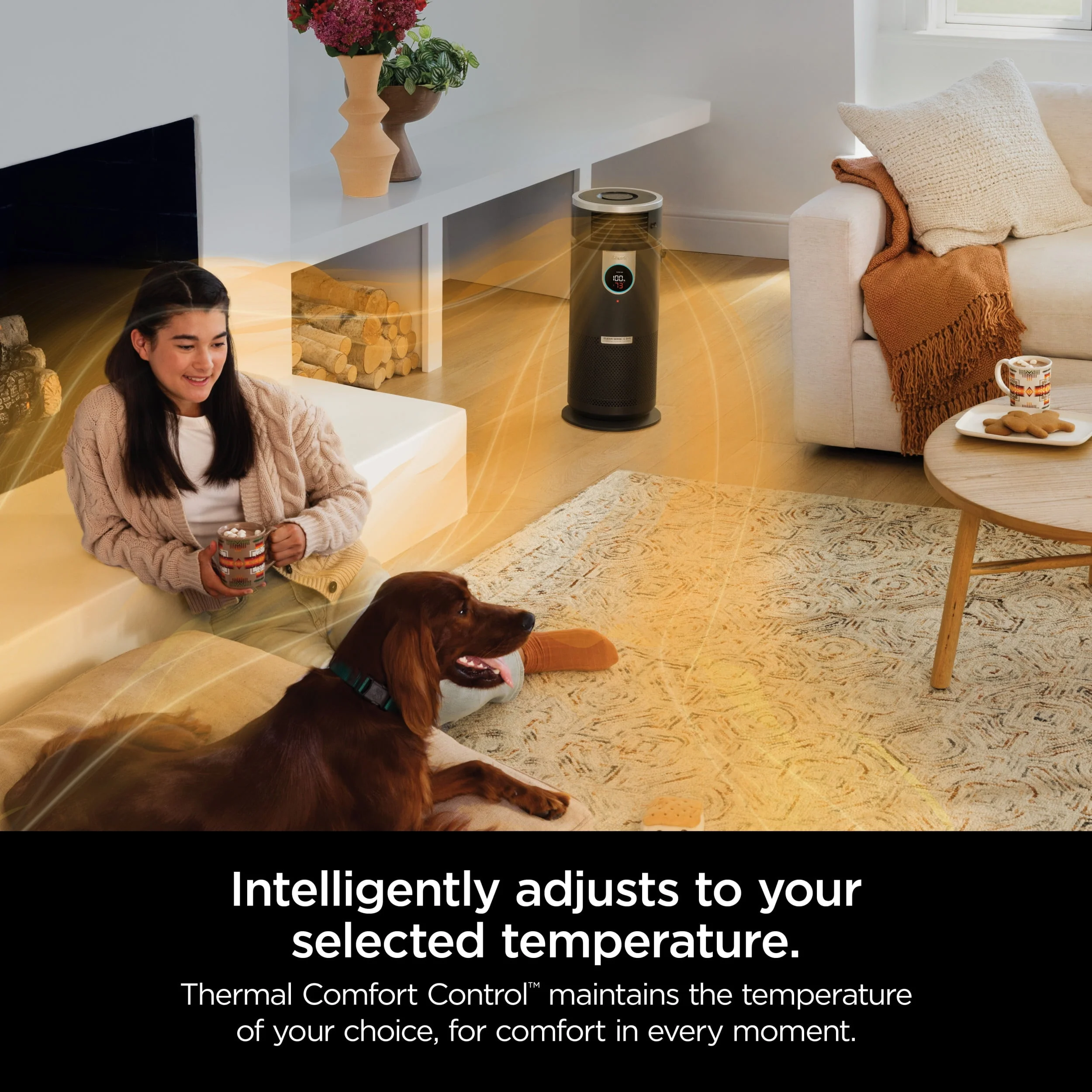 Shark Air Purifier with Nanoseal HEPA, Cleansense IQ, Odor Lock, Cleans up to 500 Sq. Ft, Charcoal Grey, HP100