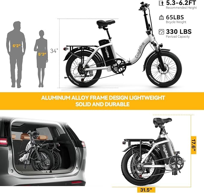 1000W Folding Electric Bike,48V 20AH Removable Battery E Bike,30+MPH,80 Miles Max Range Electric Bike for Adults,20" Fat Tire Foldable ebike