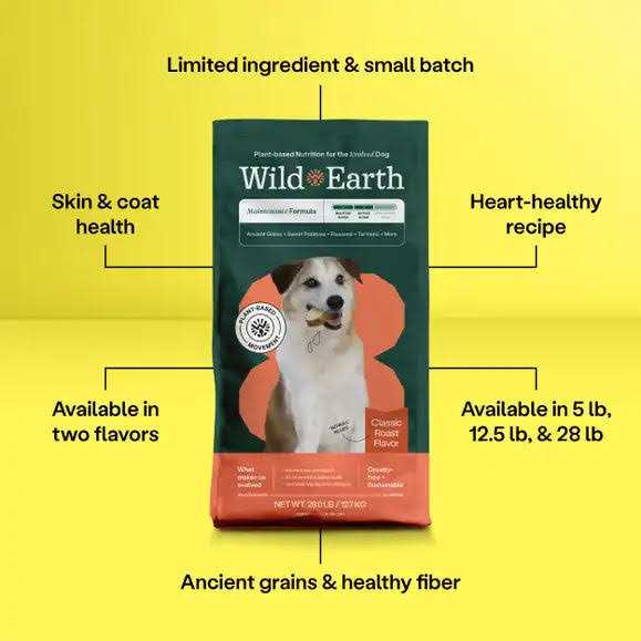 Wild Earth Golden Rotisserie Flavor Maintenance Formula Dry Dog Food - Pet Supplies online store
