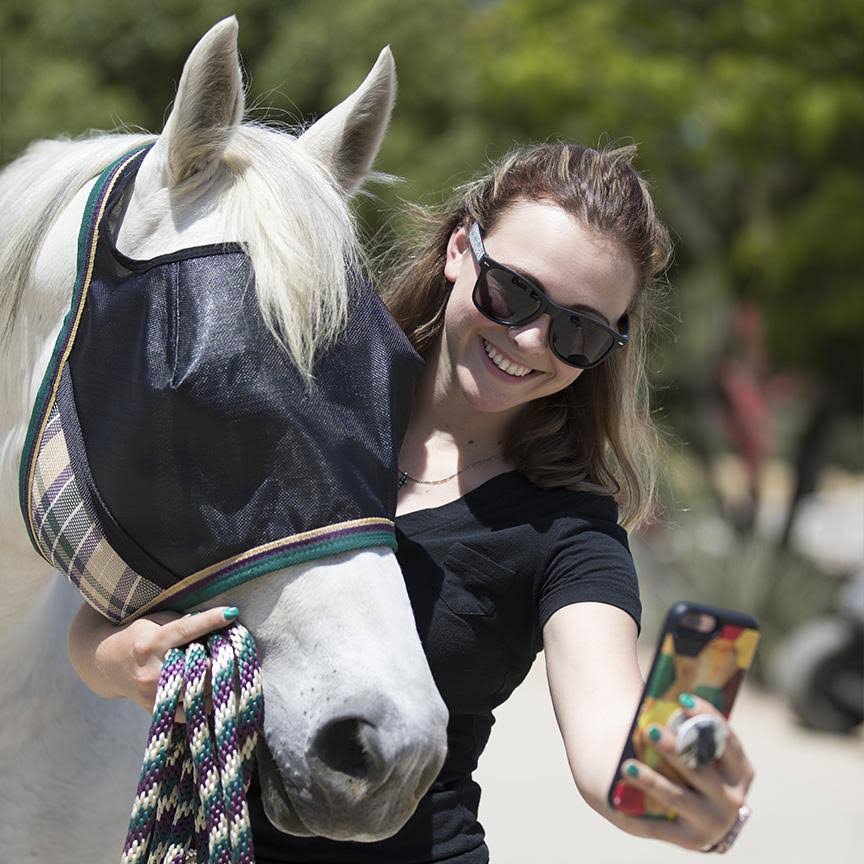 Kensington UViator CatchMask Fly Mask