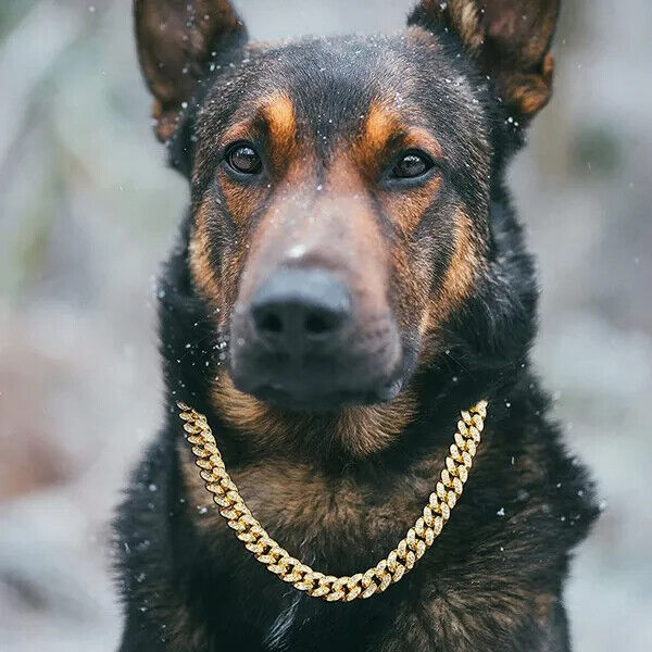 Pet Dog Cat Gold Plated Simulated Diamond 16" ~ 24" Iced Cuban Chain Necklace