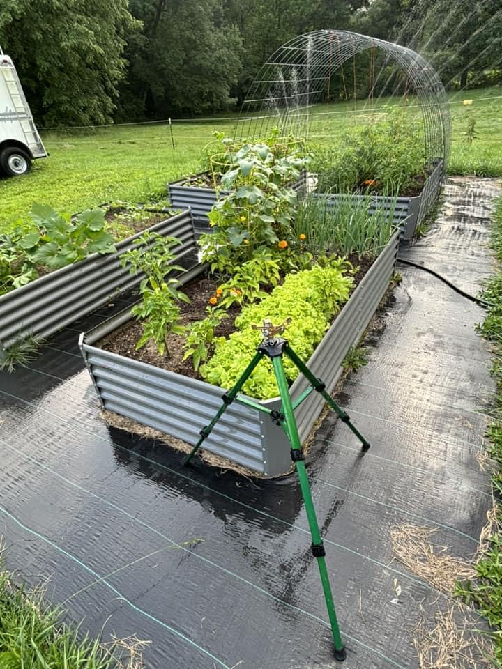 A ANLEOLIFE 8X4X1.5 ft Galvanized Raised Garden Beds Outdoor, Oval Large Metal Planter Box for Planting Vegetables Flowers Herb