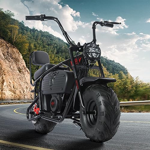 Oryxearth Electric Mini Dirt Bike, 36V Battery 1000W Motor Electrical Powered Motorcycle for Kids, 2 Speeds-15.5MPH/22 MPH, 2 Hanging Bags
