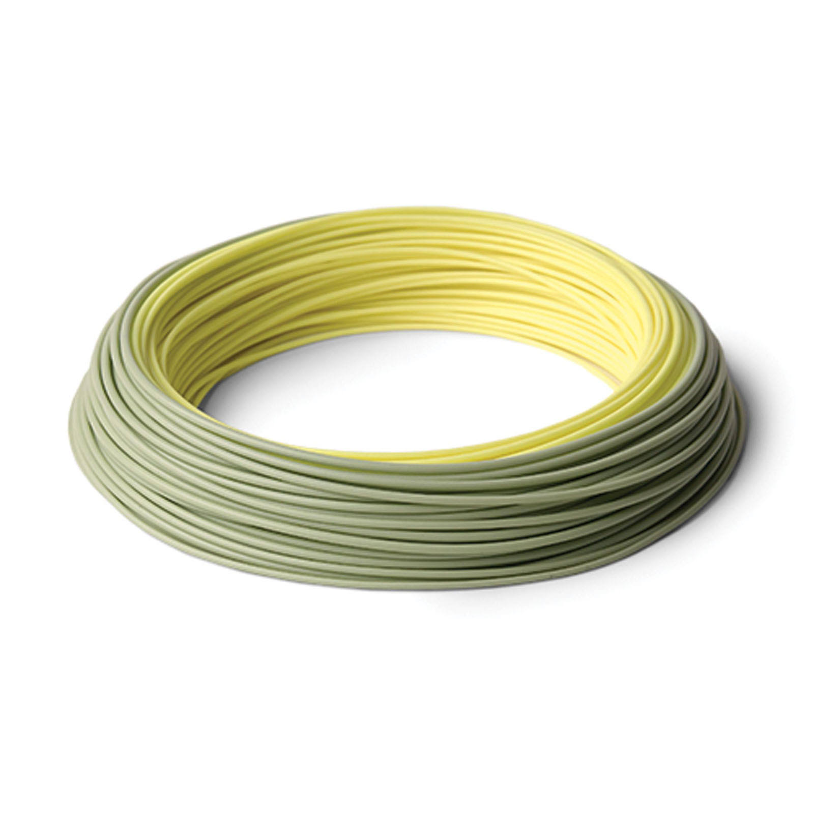 Rio InTouch Salmo Steelhead WF6F Fly Line