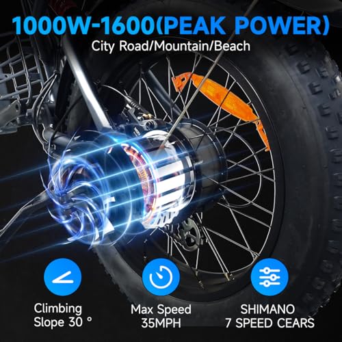 Retro Electric Bike for Adults,1000W-1600W(Peak Power) Electric Dirt Bike,35MPH 60Miles E Bikes Ridstar