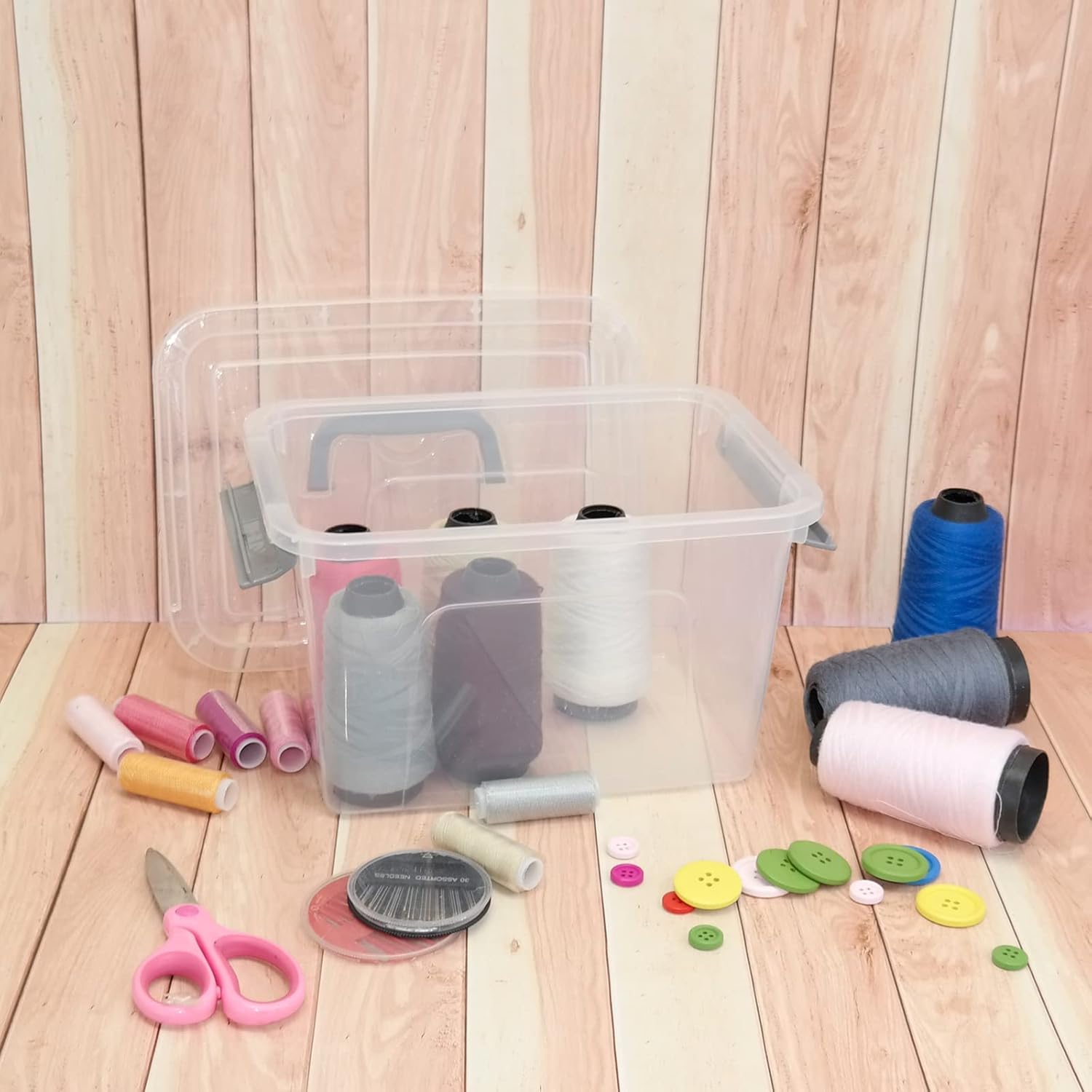 CadineUS 6 pack 5 Liter Clear Plastic Storage Bin, Plastic Boxes with Lids Pack of 2