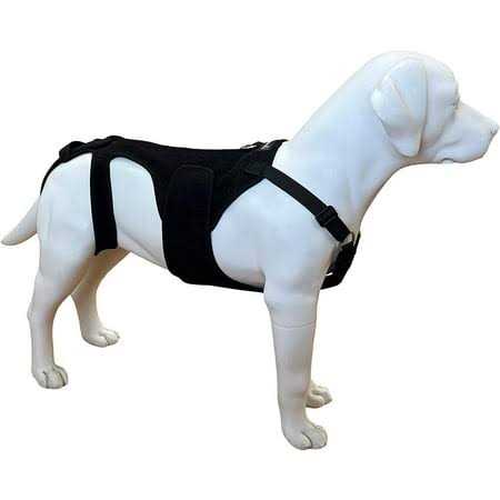 Labra Dog Canine K9 Back Brace IVDD Spine Pain &amp; Spinal Injury - Pet Supplies online store