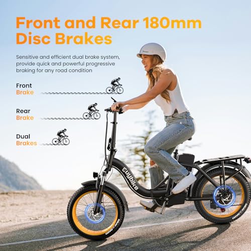 Folding Electric Bike for Adults with Peak 1000W Motor, 48V 20AH Battery up to 30MPH 80 Miles, 20" Fat Tire All Terrain Ebike
