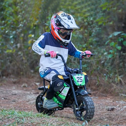 Electric Bike for Kids E Bikes Mini Dirt Bike Motorbike 250W 24V 9Ah Eletric Scooter Fast Dirtbike 2-Speed 10/12Mph 3-10 Old Teens Moped