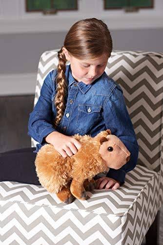 Wild Republic Capybara Plush Stuffed Animal Plush Toy Gifts for Kid