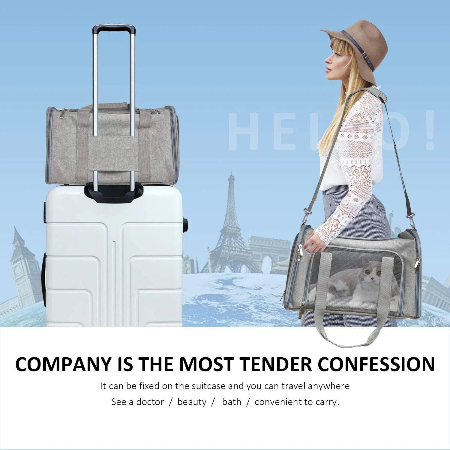 Henkelion Cat, Dog Carrier for Small Medium Cats Puppies up to 15 Lbs, TSA Airline Approved Carrier Soft Sided, Collapsible Travel Puppy Carrier