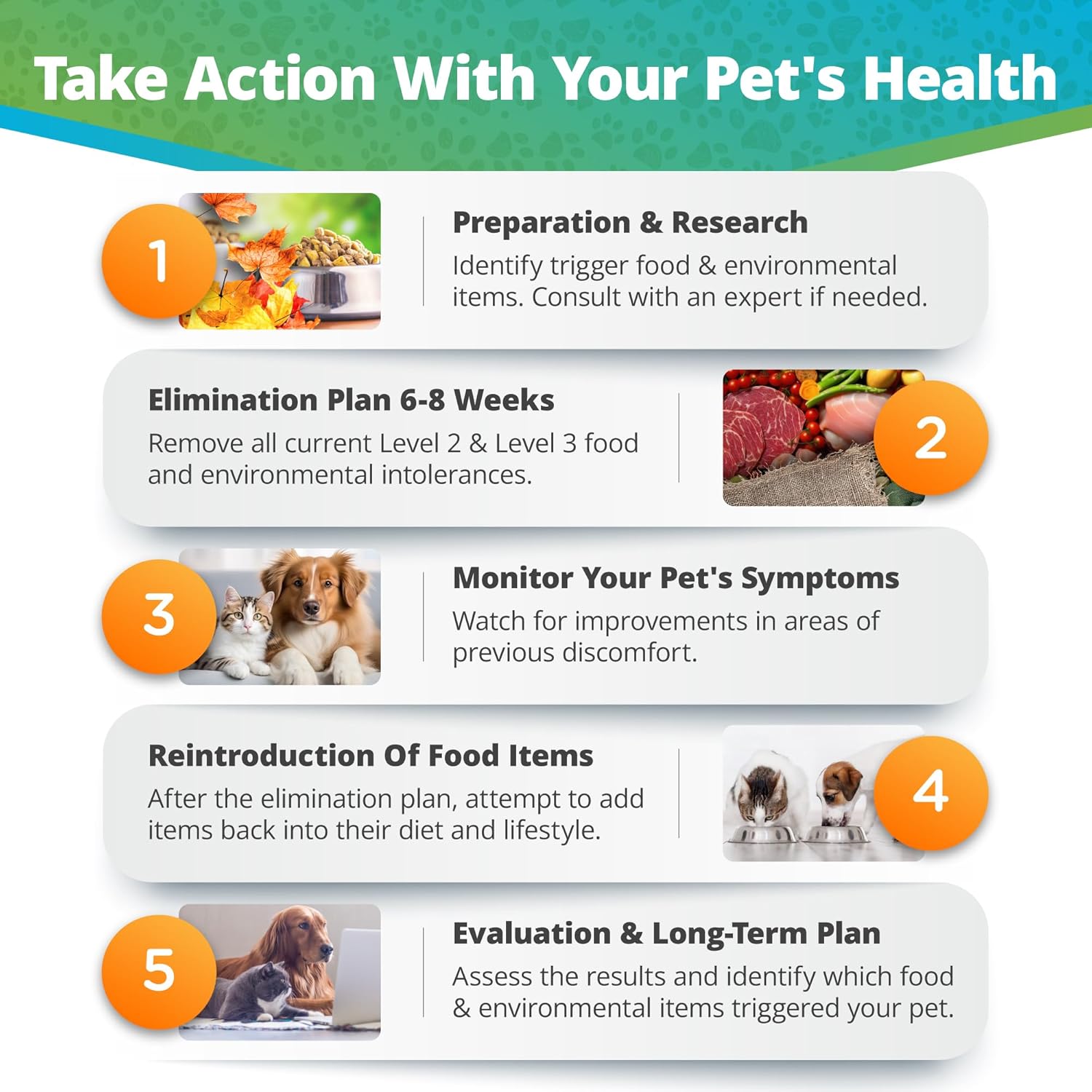 5Strands Pet Food and Environmental Intolerance Test, at Home Sensitivity Test for Dogs & Cats, Hair Sample Collection Kit, 395 Items Tested