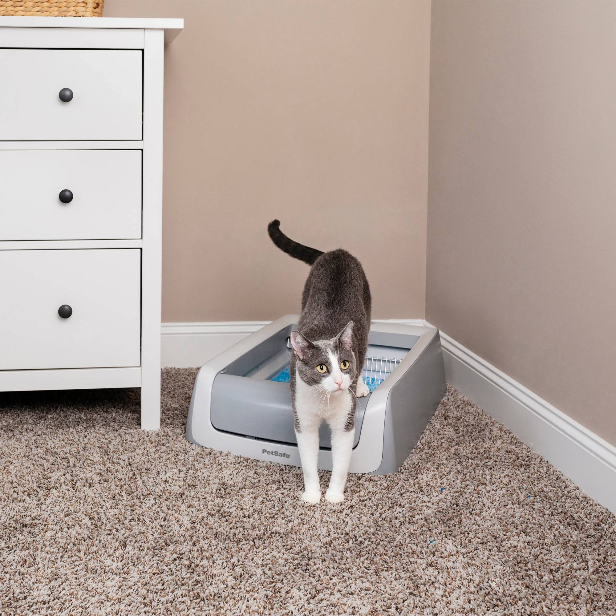 ScoopFree Automatic Self-Cleaning Cat Litter Box