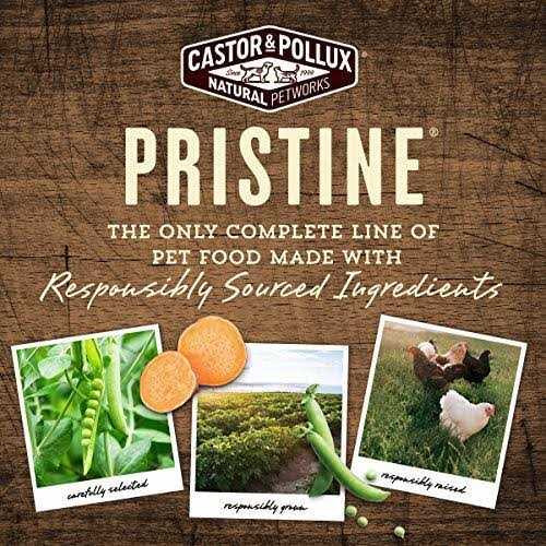 Castor &amp; Pollux Pristine Beef Bone Broth - Pet Supplies online store