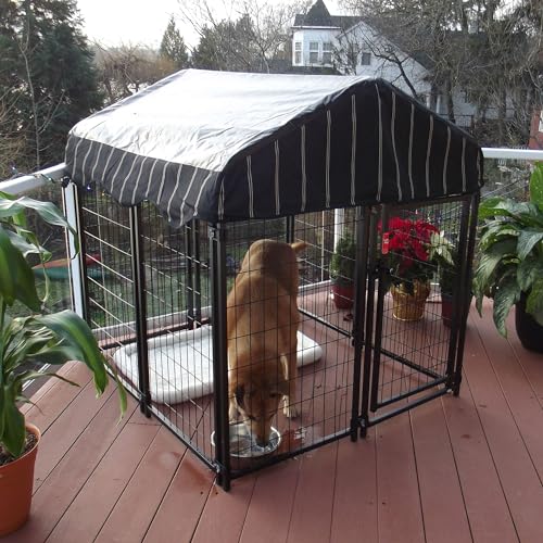 Stay Series 4 by 4 by 4.3 Feet Studio Jr. Black Powder Coat Steel Frame Outdoor Dog Kennel with Waterproof Canopy Roof and Gate Door, Khaki