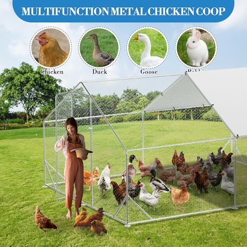 Heavy Duty Walk-in Chicken Coop, Large Metal Poultry Cage with Waterproof UV Cover & Round Top Design