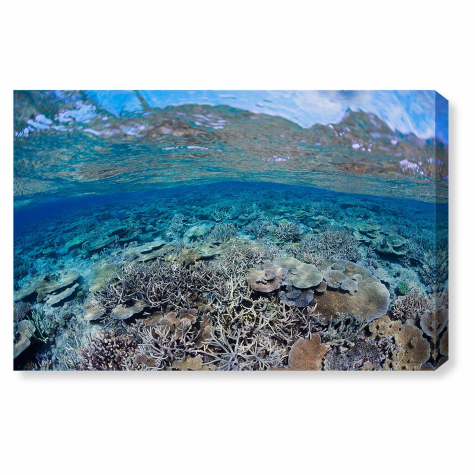 Oliver Gal Fijian Coral Scene Canvas Art, Size: 45W x 30H, Blue