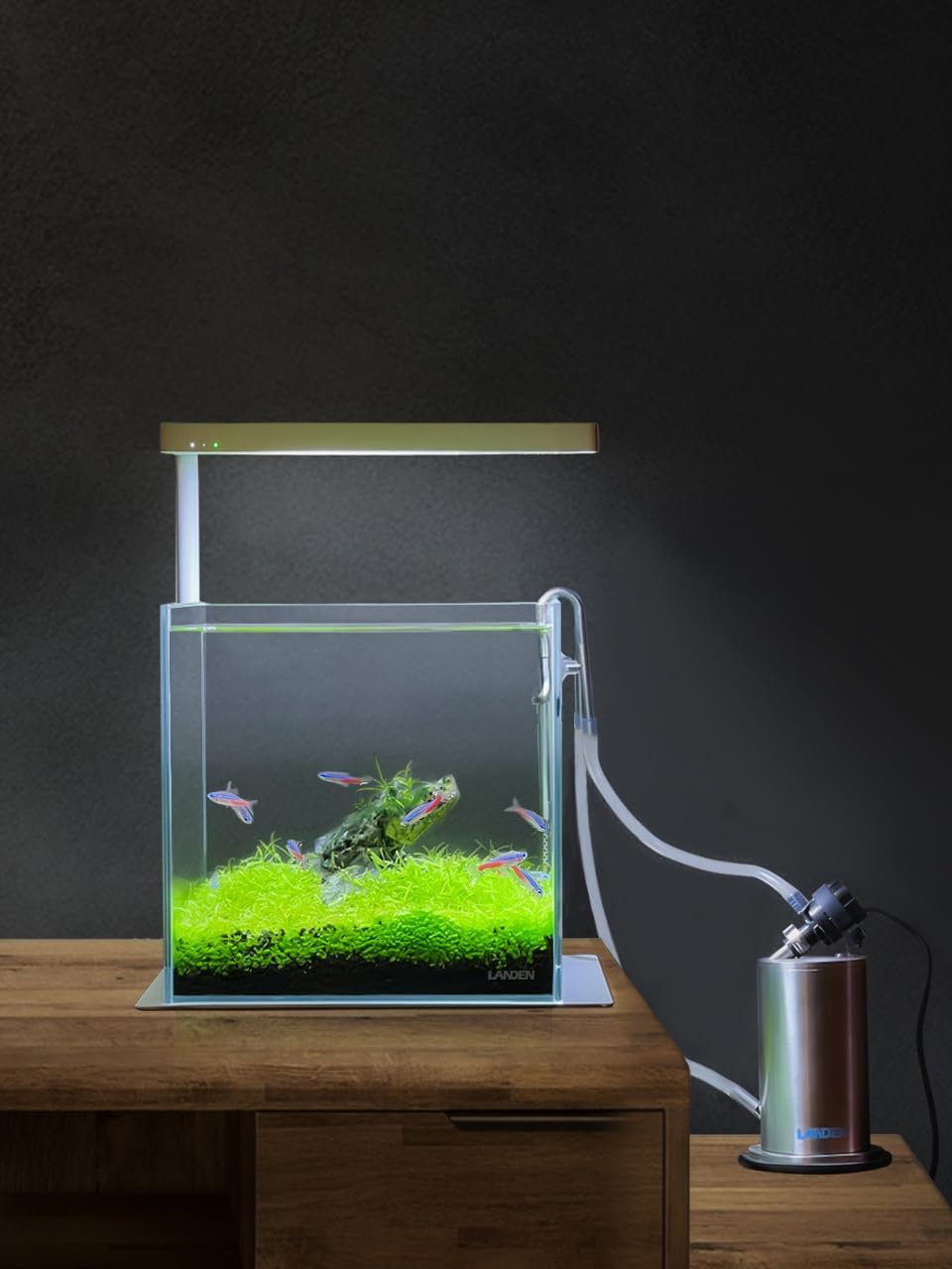 LANDEN PURA 50 Mini External Canister Filter for Aquarium System, up to 5 Gallon, Stainless Steel Aquarium Canister with Water Pump