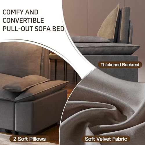 3 in 1 Convertible Queen Sleeper Sofa Bed Comfy Pull Out Futon Couch Bed 63.8" Modern Velvet Recliner Loveseat Sofa Multi-Functional Black Cloud
