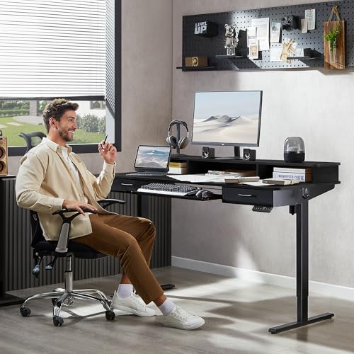48x24 Inches Electric Standing Desk with 2 Drawers, Height Adjustable Stand up Desk for Home Office, Ergonomic Sit to Stand Table with Storage Shelf