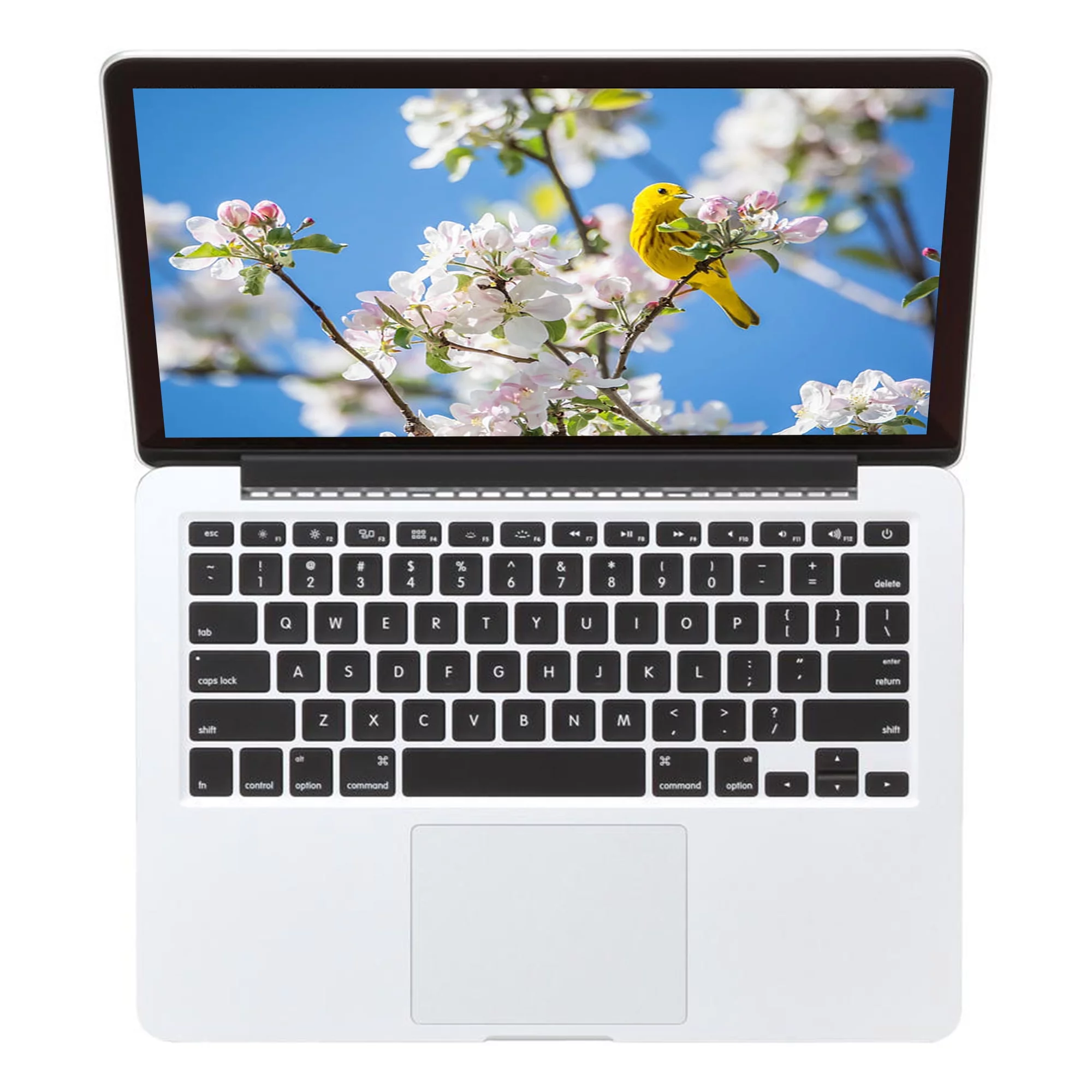 Restored Apple MacBook Pro 13.3-inch Intel Core i5 8GB RAM Mac OS 256GB Bundle: Black Case, Wireless Mouse