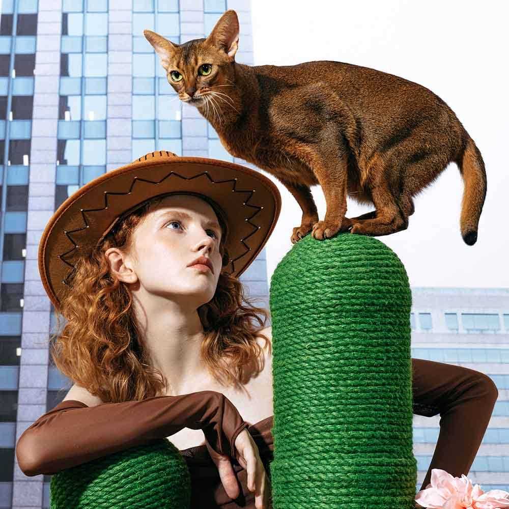 VETRESKA 41 Cactus Cat Tree Scratching Post for Large Cat - Pet Supplies online store