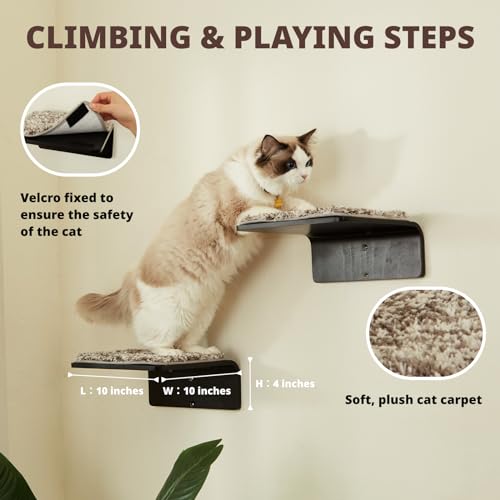 Cat Wall Shelf with Two Steps - Wave Cat Shelves and Perches for Wall - Wall Mounted Cats Furniture for Sleeping, Playing, Climbing, and Lounging