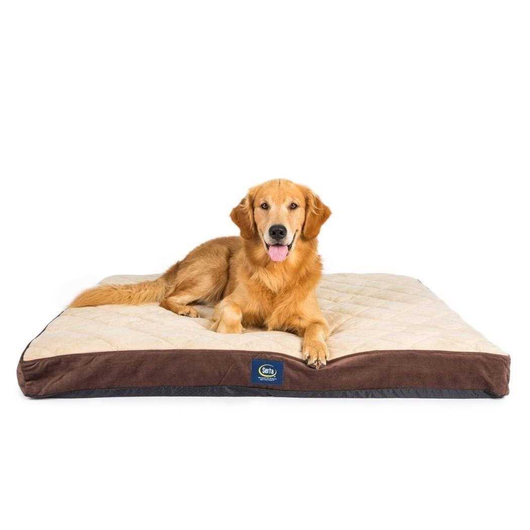 Serta Ortho Foam Quilted Pillowtop Pet Bed - Pet Supplies online store