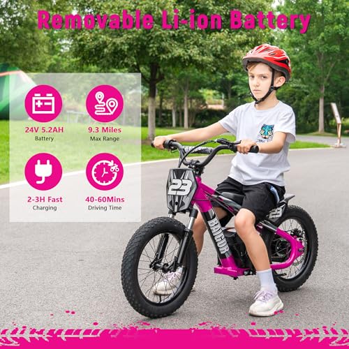 wanan Electric Dirt Bike for Kids 6-12 with Shock-Absorbing Front Fork, 250W Electric Motorcycle Up to 15.5MPH, 24V Detachable Battery, 16''