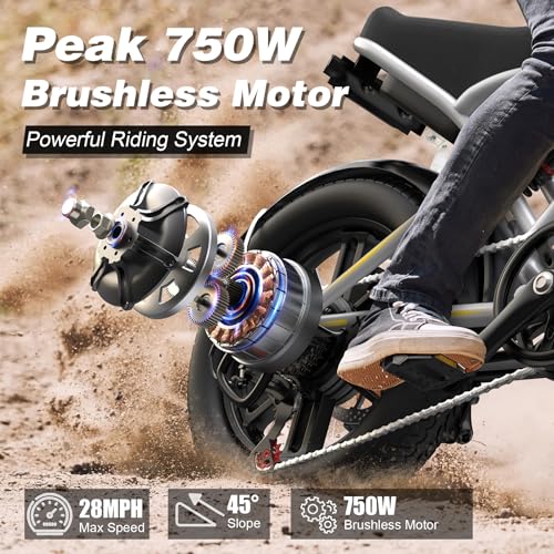 VARUN Electric Bike Peak 750W - 65+ Miles Long Range Electric Bike for Adults - Reaches 25MPH, 48V 13Ah Battery, Full Suspension