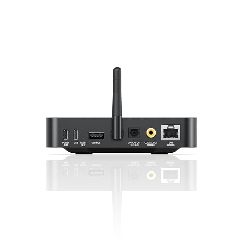 FiiO SR11 AirPlay Audio Streamer Receiver,WiFi Multiroom Streamer,Stream Hi-Res Audio from Spotify, Amazon Music, Tidal (Black)