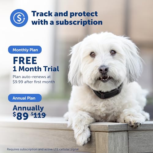 PetSafe Guardian GPS 2.0 Dog Fence + Tracking &ndash; Wireless Dog Fence with Reliable Dual Frequency GPS Tracking &ndash