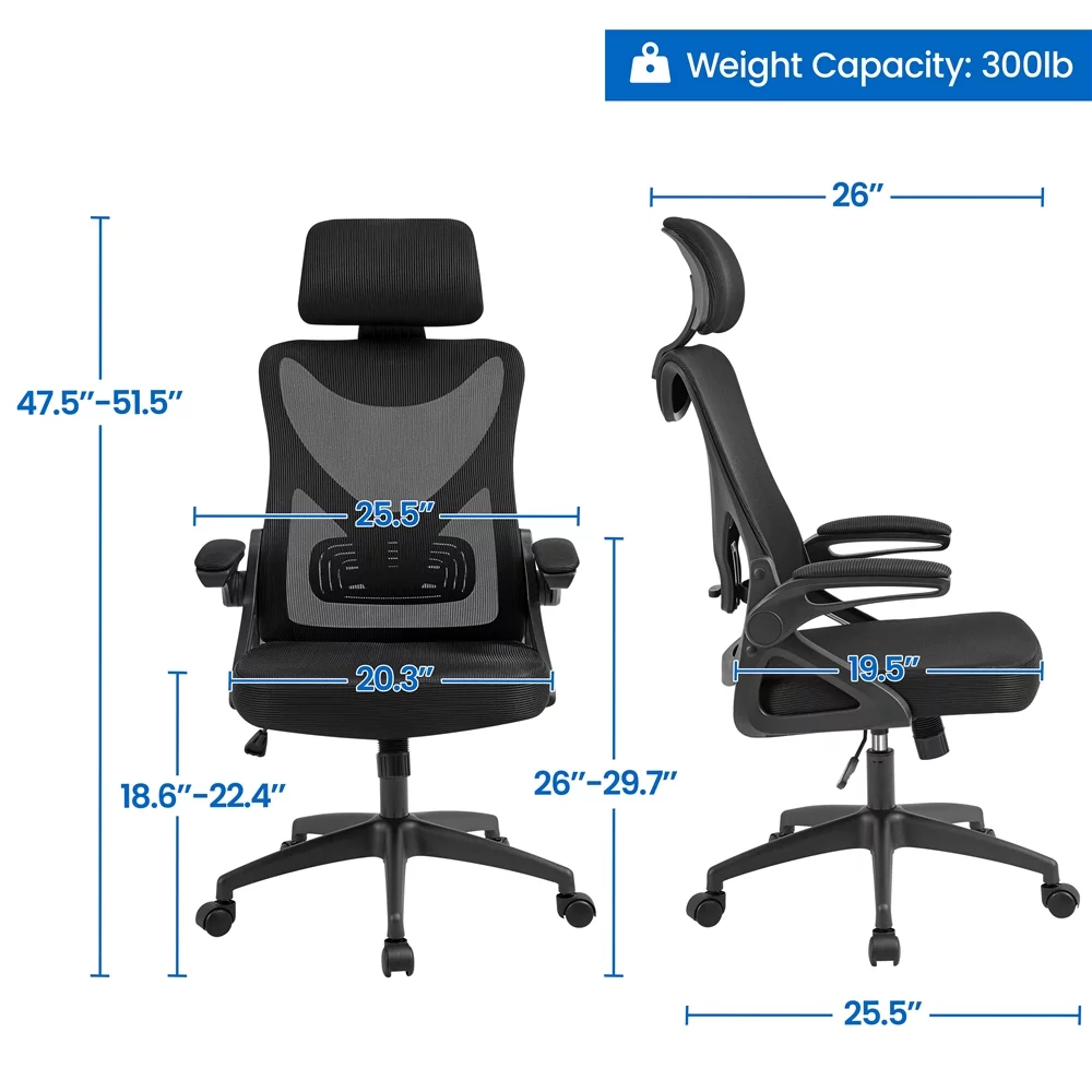 Alden Design Ergonomic Mesh Office Chair with High Back, Black