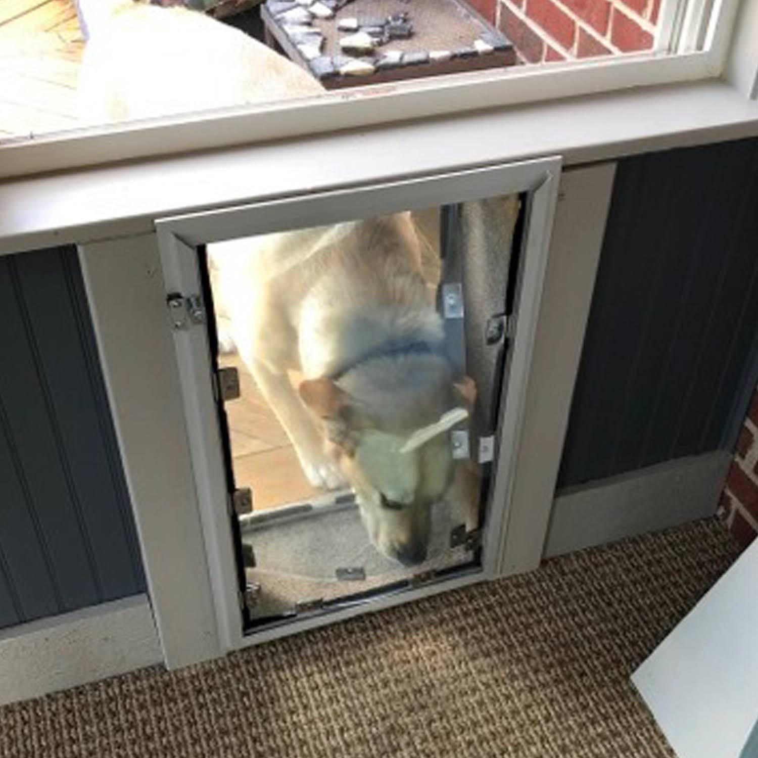 Hale Pet Door for Walls - Small Medium White Double Flap