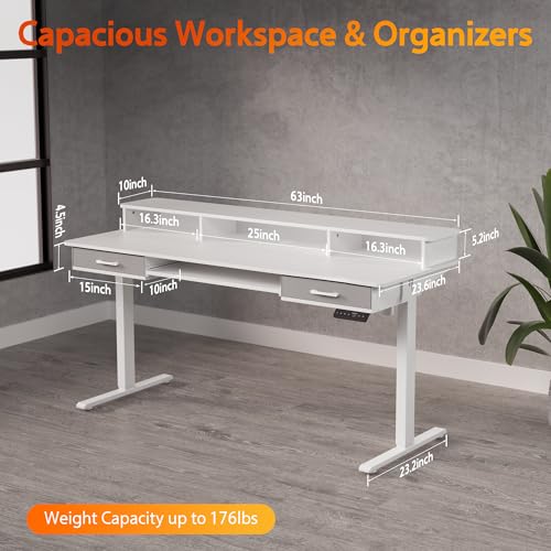 48x24 Inches Electric Standing Desk with 2 Drawers, Height Adjustable Stand up Desk for Home Office, Ergonomic Sit to Stand Table with Storage Shelf