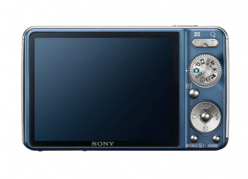 Sony Cyber-shot DSC-W230 12 MP Digital Camera with 4x Optical Zoom and Super Steady Shot Image Stabilization (Dark Red)