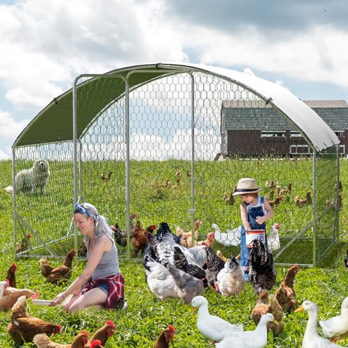 Large Metal Chicken Coop, Walk-in Poultry Cage