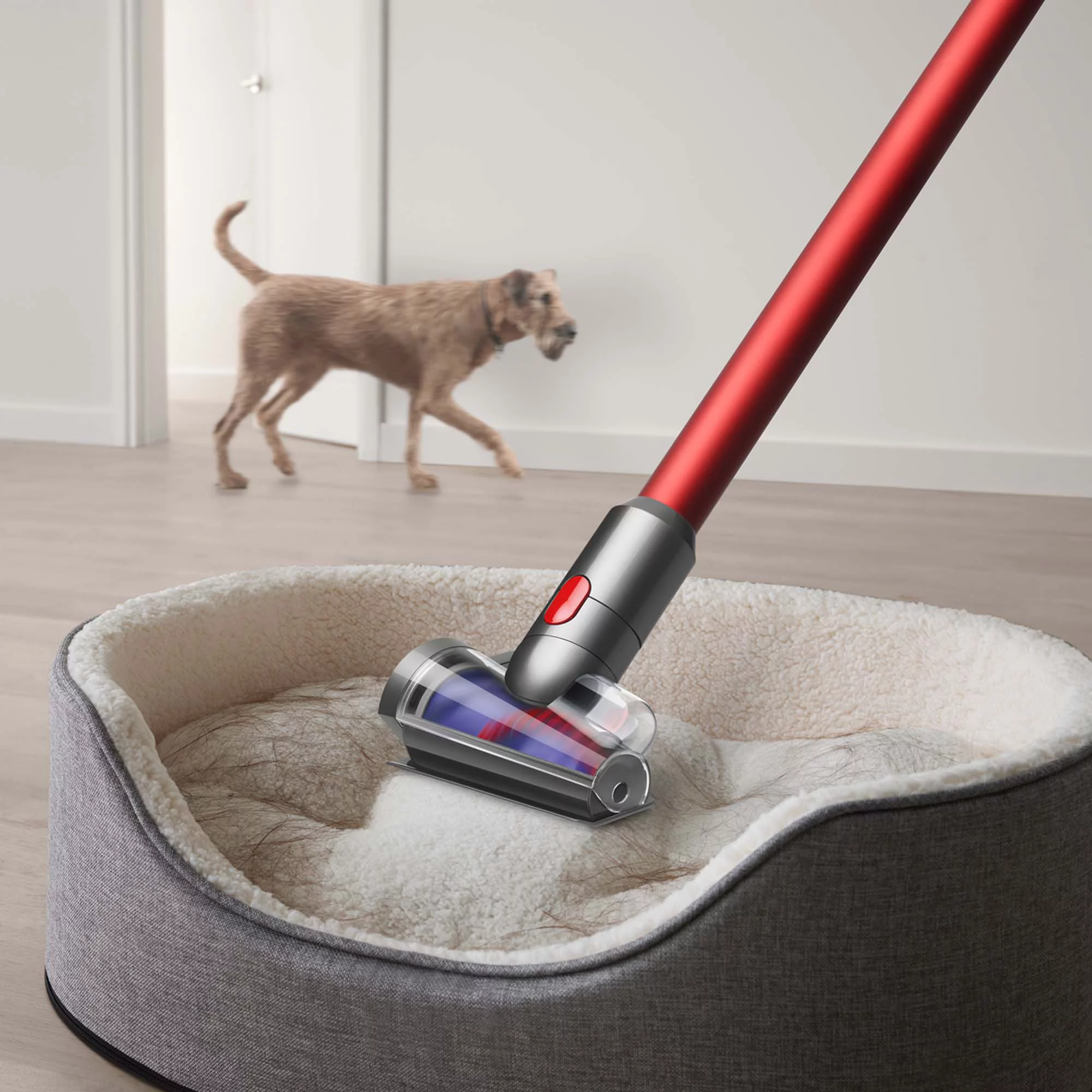 Dyson Outsize+ Cordless Vacuum Cleaner | Red | New