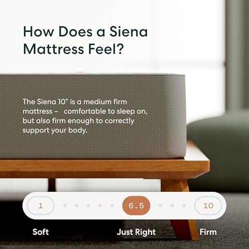 Siena 10” Queen Gel Memory Foam Mattress - Medium Firm - 180 Night Trial - Premium Pressure-Relieving Layers - 10 Year Warranty - Mattress in a Box